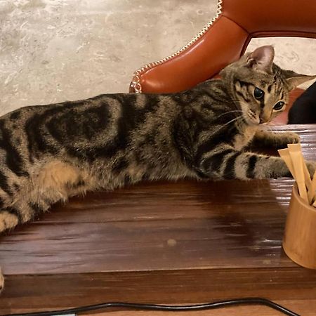 タロコ リーコー ホテル 新城 エクステリア 写真